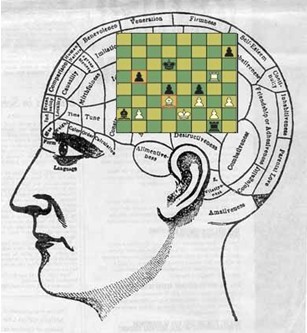 chess memory brain with board